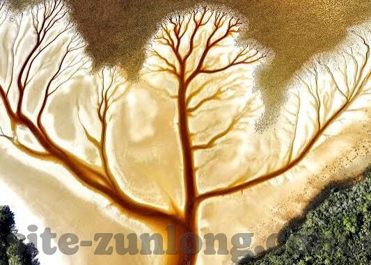 业余足球比分app-业余足球迷必备！这款宝藏比分APP，让你的赛场热情永不缺席